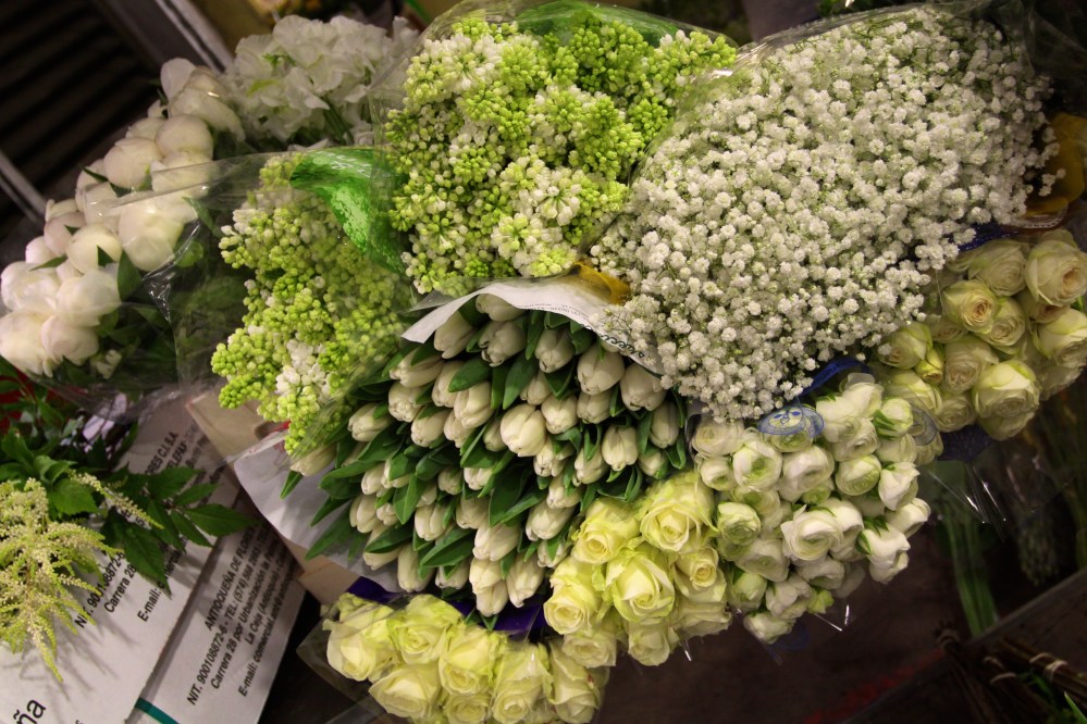 IMG_4256 - Version 2